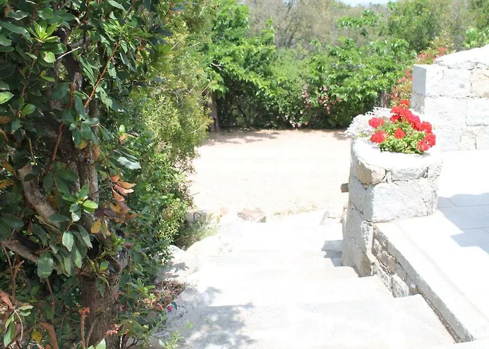 Les Pavillons Du Belvedere 公寓式酒店 维琪奥港